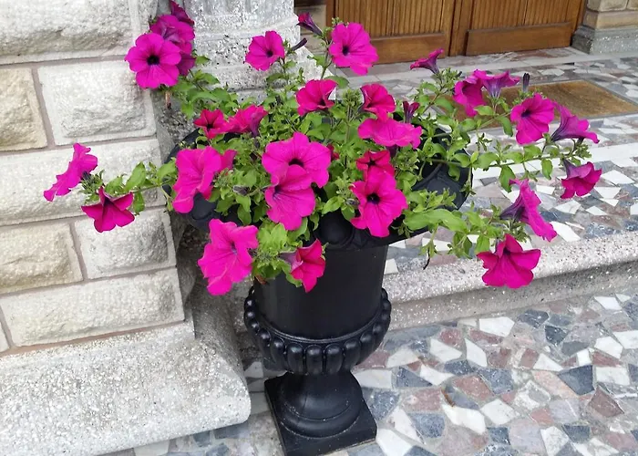 Le Castel Bed & Breakfast 4*