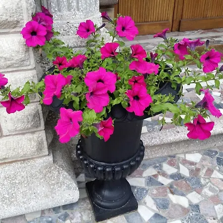 Le Castel Bed & Breakfast 4*